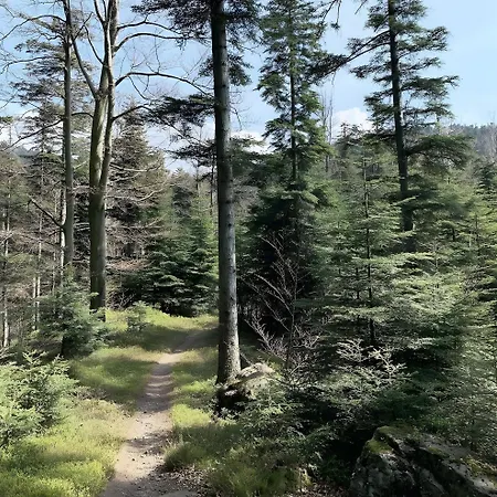 Grand La Campagne Διαμέρισμα